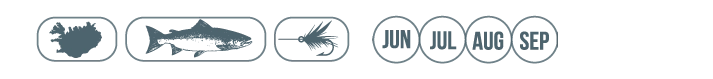 Ísland · lax · fluguveiði · júní til september